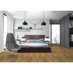 91BB-3881-Panele-podlogowe-Dab-Orkan-D3881-Modern-Classic (1).jpg